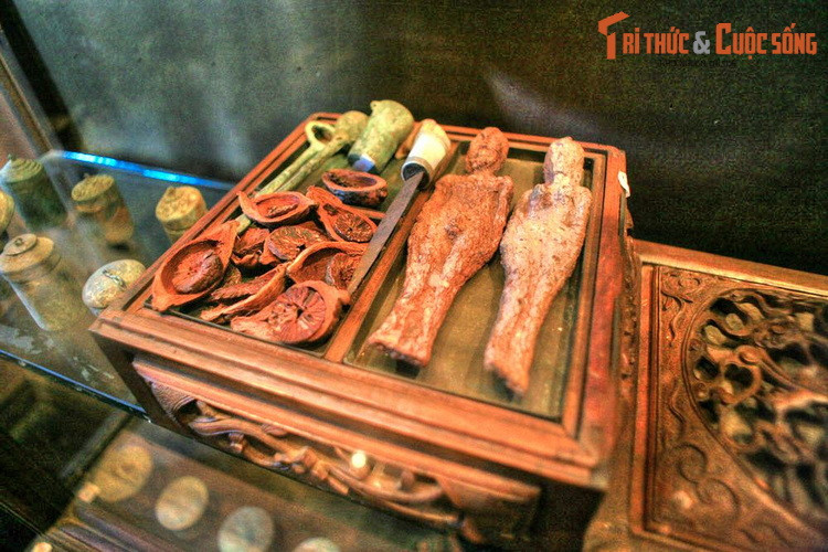 Bên cạnh đó là bộ sưu tập nhiều vị thuốc quý, sách và tài liệu y học cổ truyền cùng những vật dùng trong nghề bán thuốc như cân, tủ thuốc, bảng quảng cáo, khuôn in và đồ gốm sứ - hồ lô rượu, ấm trà, bát uống thuốc, bình vôi.