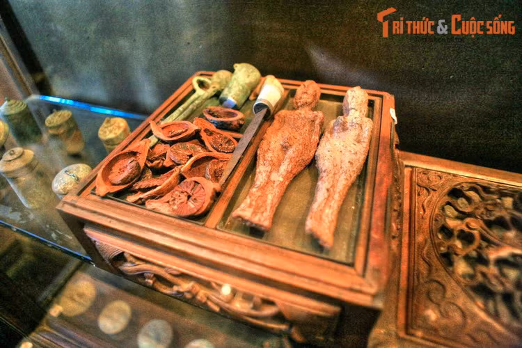 Bên cạnh đó là bộ sưu tập nhiều vị thuốc quý, sách và tài liệu y học cổ truyền cùng những vật dùng trong nghề bán thuốc như cân, tủ thuốc, bảng quảng cáo, khuôn in và đồ gốm sứ - hồ lô rượu, ấm trà, bát uống thuốc, bình vôi.