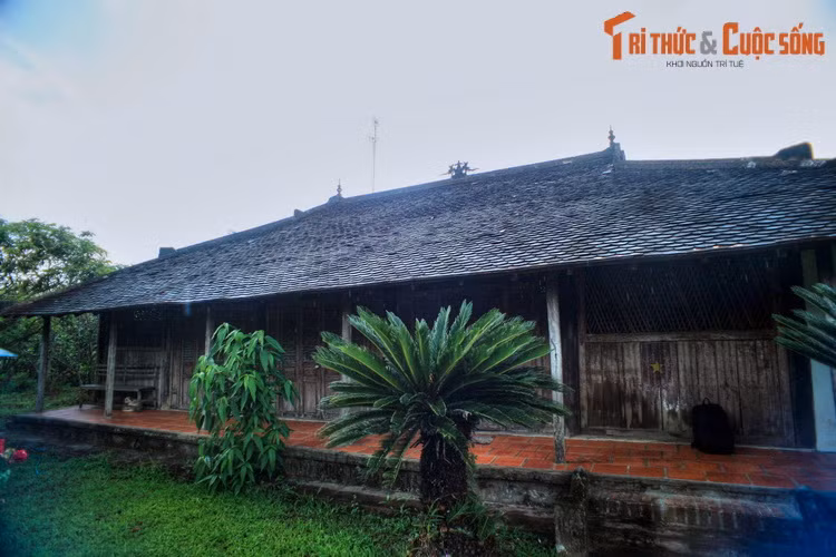 Nằm ở số 24, tổ 1, ấp An Bình Đông, làng cổ Đông Hòa Hiệp (xã Đông Hòa Hiệp, huyện Cái Bè, tỉnh Tiền Giang), nhà cổ của ông Tòng là một công trình kiến trúc nghệ thuật mang đậm giá trị bản sắc văn hóa của vùng sông nước Nam Bộ.