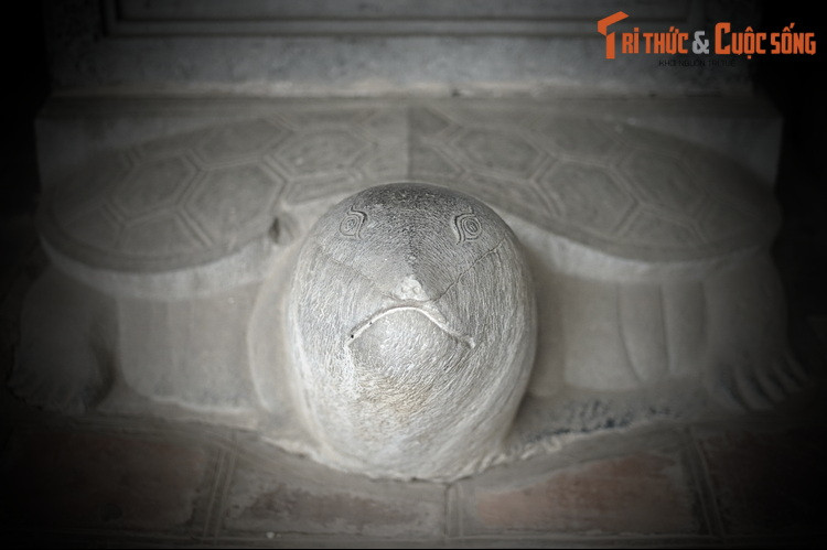 Về phương diện nghệ thuật, tất cả 82 bia Tiến sĩ ở Văn miếu Quốc Tử Giám Hà Nội đều được chế tác theo cùng một phong cách: bia dẹp, hình vòm, được đặt trên lưng rùa... Rùa cũng được tạo dáng theo một phong cách chung: to, đậm và chắc khỏe.