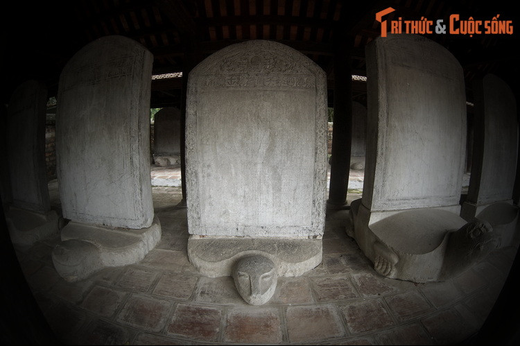 Được đặt ở trung tâm của khu di tích Văn Miếu - Quốc Tử Giám, 82 tấm bia tương ứng với 82 khoa thi được tổ chức trong thời Lê-Mạc, từ năm 1442 đến 1779. Trên mỗi tấm bia khắc tên những người đỗ Tiến sĩ cùng một bài văn bằng chữ Hán, nội dung ghi lại lịch sử của khoa thi.