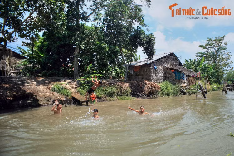 Trẻ em bơi lội, nô đùa trên sông, một khung cảnh bình yên, đậm chất thôn dã có thể bắt gặp ở mọi vùng quê của mảnh đất Tiền Giang.
