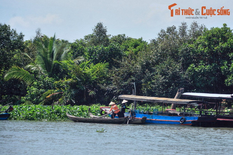 Cù Lao Tân Phong nhìn từ sông Tiền. Nằm ở địa phận huyện Cai Lậy, cù lao này là một vựa trái cây lớn, đồng thời là điểm du lịch sinh thái nổi tiêng của tỉnh Tiền Giang.