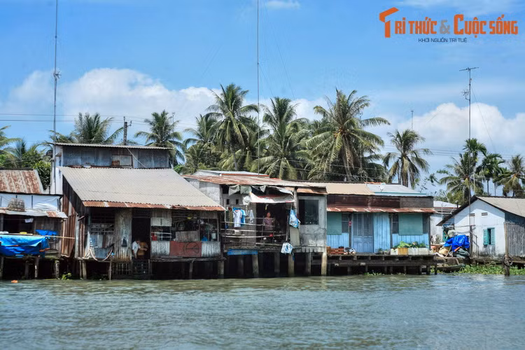 Những ngôi nhà sàn đơn sơ, hàng dừa xanh soi bóng xuống mặt nước hiền hòa... là hình ảnh quen thuộc về đời sống ở miền sông nước Tiền Giang.
