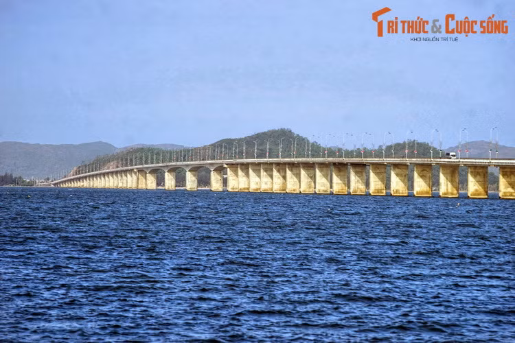 Cầu Thị Nại bắc qua đầm Thị Nại, nối thành phố Quy Nhơn với bán đảo Phương Mai. Công trình này được khánh thành năm 2006.