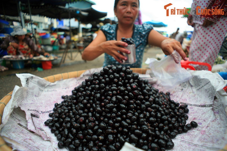 Trái trâm, còn gọi là trâm ba vỏ hay vôi rừng, tại một quầy hàng ở chợ Tịnh Biên, An Giang. Cây trâm (Syzygium cumini) cùng họ với cây sim, phân bố từ Nam Á đến Bắc Australia. Trái trâm có màu đen bóng khi chín, vị chua - ngọt và hơi chát, có một hạt cứng ở giữa.