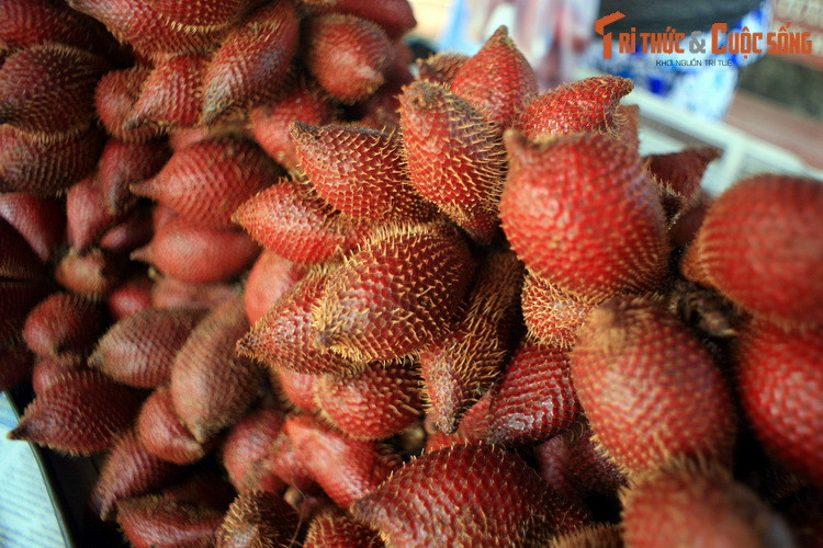 Trái mây bán tại núi Sam, thành phố Hà Tiên, Kiên Giang. Cây mây hay cây salak (Salacca zalacca) là loài cây họ Cau phân bố ở vùng nhiệt đới Đông Nam Á. Trái mây có cùi trắng mềm, vị hơi chua, mùi thơm hấp dẫn. Loài cây này đã được trồng thương mại ở một số nước trong vùng.