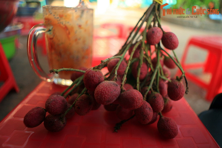 Trái trường là loại trái cây được bán tại khu du lịch chùa Hang - hòn Phụ Tử ở Kiên Giang. Cây trưởng (Nephelium hypoleucum) là loài cây bản địa Đông Nam Á, có họ hàng với nhãn, vải, chôm chôm. Trái trường có vỏ ngoài giống trải vải, cùi có vị giống chôm chôm nhưng chua hơn, hạt to.