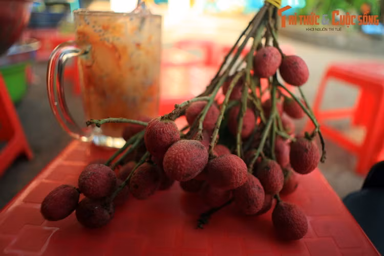 Trái trường là loại trái cây được bán tại khu du lịch chùa Hang - hòn Phụ Tử ở Kiên Giang. Cây trưởng (Nephelium hypoleucum) là loài cây bản địa Đông Nam Á, có họ hàng với nhãn, vải, chôm chôm. Trái trường có vỏ ngoài giống trải vải, cùi có vị giống chôm chôm nhưng chua hơn, hạt to.