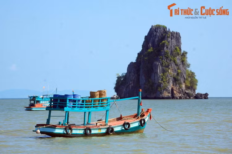 Hai bên hòn Phụ Tử còn có các hòn đảo đá có thù kỳ thú, mà người đời tưởng tượng ra hình ảnh một con thỏ quỳ hai chân sau để giỡn với sóng biển và một con rùa.