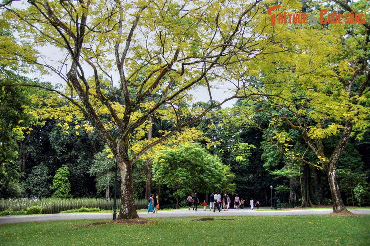 Có lịch sử hình thành từ năm 1822, Vườn Bách thảo hay Vườn Thực vật Singapore được coi là khu vườn bách thảo hàng đầu của Đông Nam Á.