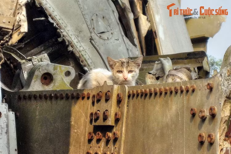 Bảo tàng mở cửa 5 ngày trong tuần, trừ ngày thứ Hai và thứ Sáu, buổi sáng từ 8h - 11h30, buổi chiều từ 13h - 16h30. (Bài có sử dụng tư liệu của Cổng thông tin điện tử Bộ Quốc phòng).