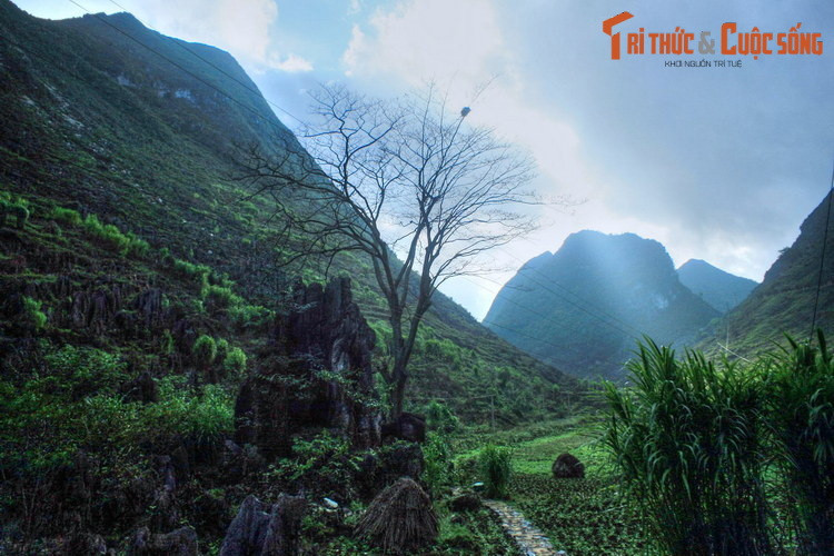 Nằm ở Xã Thài Phìn Tủng, huyện Đồng Văn, tỉnh Hà Giang, cây thiêng Thài Phìn Tủng là một di sản văn hóa tâm linh của đồng bào dân tộc Mông ở khu vực cao nguyên đá địa đầu đất nước.