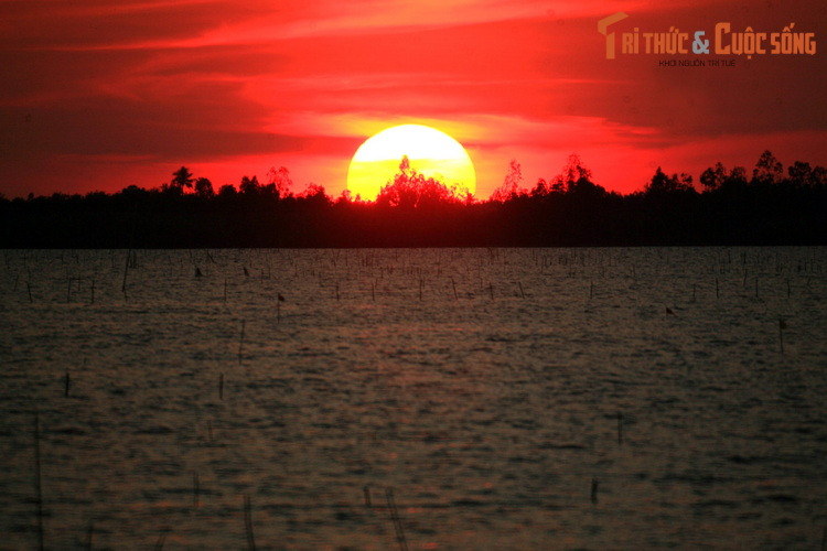 Bên cạnh vẻ đẹp thiên nhiên, đầm Thị Tường cũng là địa điểm lý tưởng để khám phá những nét văn hóa – đời sống đặc trưng của đời sống miền sông nước Nam Bộ.