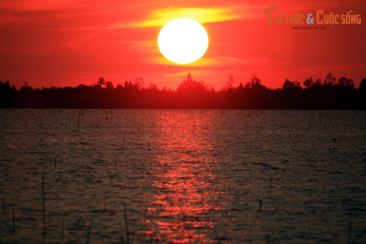 Cảnh sóng nước bao la mê hoặc lòng người khiến đầm được người dân địa phương mệnh danh là "Biển Hồ" của vùng đồng bằng sông Cửu Long.