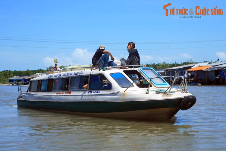 Thay vì xe buýt như ở các đô thị, tàu cao tốc là phương tiện công cộng chủ đạo ở chốn sông nước này.