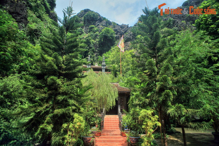 Nằm ở xã Trường Yên, huyện Hoa Lư, tỉnh Ninh Bình, thuộc quần thể di tích Cố đô Hoa Lư, Phủ Đại được coi là nơi khai sinh nước Đại Cồ Việt trong lịch sử Việt Nam.