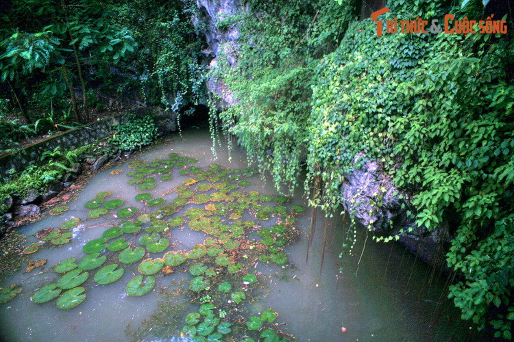 Cạnh phủ thờ có một hang động xuyên thủy, được gọi là hang Luồn. Hang động này xưa kia là thủy đạo dẫn vào khu nội thành Hoa Lư, cách đó 300 mét.