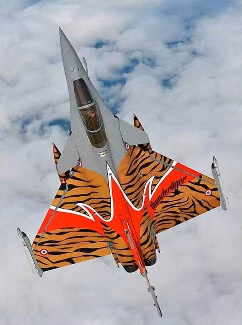 Tiêm kích Rafale của Pháp được sơn màu lông hổ đẹp mắt cùng dòng chữ "Thundertiger", một kiểu ví von cho sức mạnh tác chiến hàng đầu thế giới của máy bay này. Ảnh: Twitter/Katsuhiko.