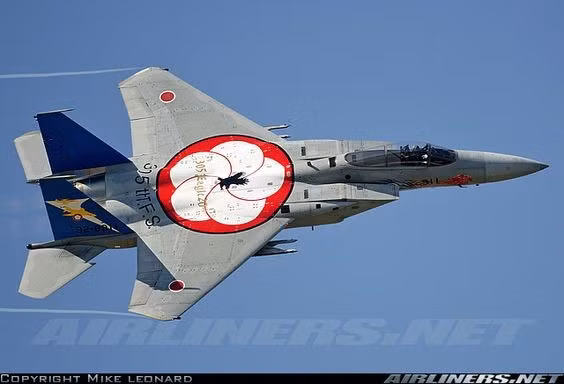 Một tiêm kích F-15 khác của Nhật Bản với hình hoa anh đào ở giữa thân. Vẽ hoa, lá là phong cách thường thấy của các chiến đấu cơ xứ sở mặt trời mọc. Ảnh: Airliners.