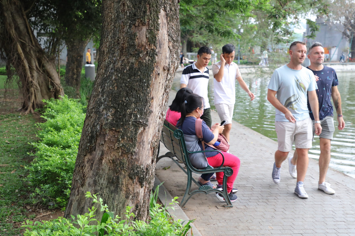 Trao đổi với báo chí, đại diện Ban Quản lý hồ Hoàn Kiếm và phố cổ Hà Nội cho biết, đây là cây sưa đỏ, có giá trị lớn nên phải báo cáo quận để xin hạ cây. Ngoài ra, khi đã hạ được cây còn phải xin ý kiến chỉ đạo của Sở Xây dựng, sau đó báo cáo Sở Tài chính, UBND TP xem xét phương án xử lý gỗ như thế nào.