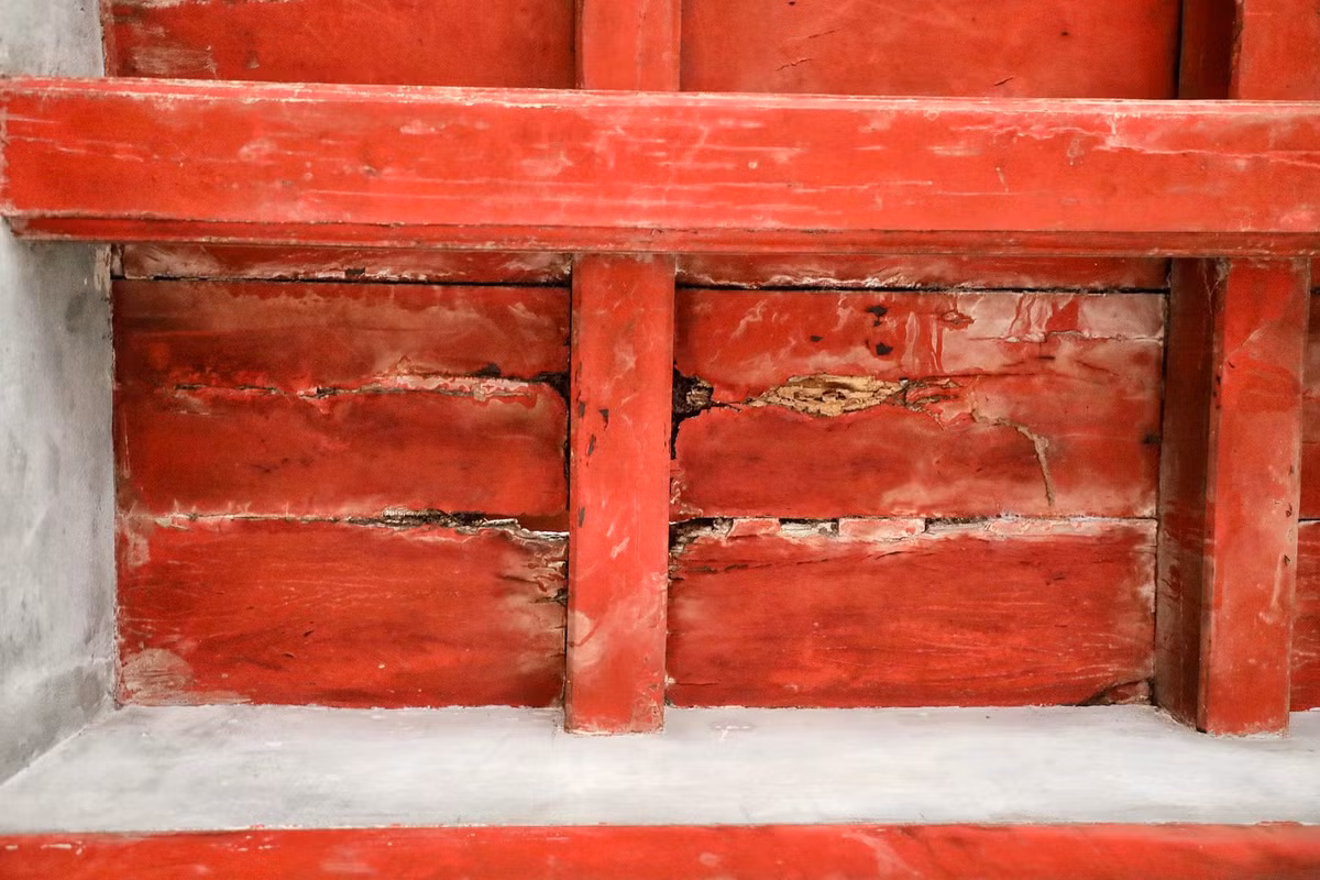 Phần sàn gỗ nhiều vị trí đã mục ruỗng.