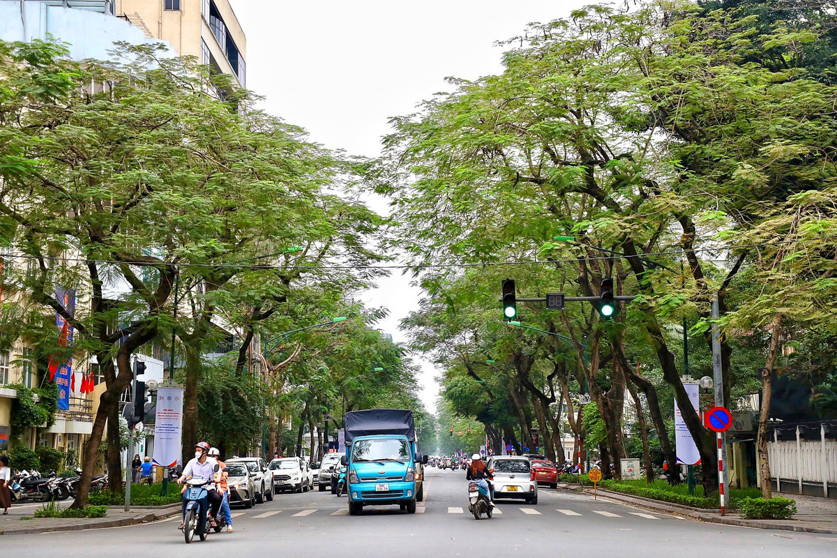 Theo ghi nhận của PV, trên địa bàn quận Hoàn Kiếm (Hà Nội) hiện có một số cây xanh chết khô vẫn chưa được chặt hạ, di dời gây mất mỹ quan đô thị và tiềm ẩn nhiều nguy cơ mất an toàn cho người dân.