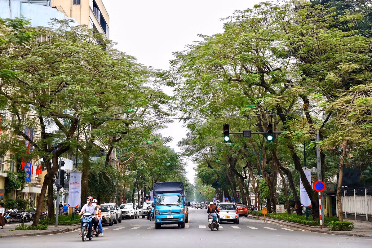 Theo ghi nhận của PV, trên địa bàn quận Hoàn Kiếm (Hà Nội) hiện có một số cây xanh chết khô vẫn chưa được chặt hạ, di dời gây mất mỹ quan đô thị và tiềm ẩn nhiều nguy cơ mất an toàn cho người dân.