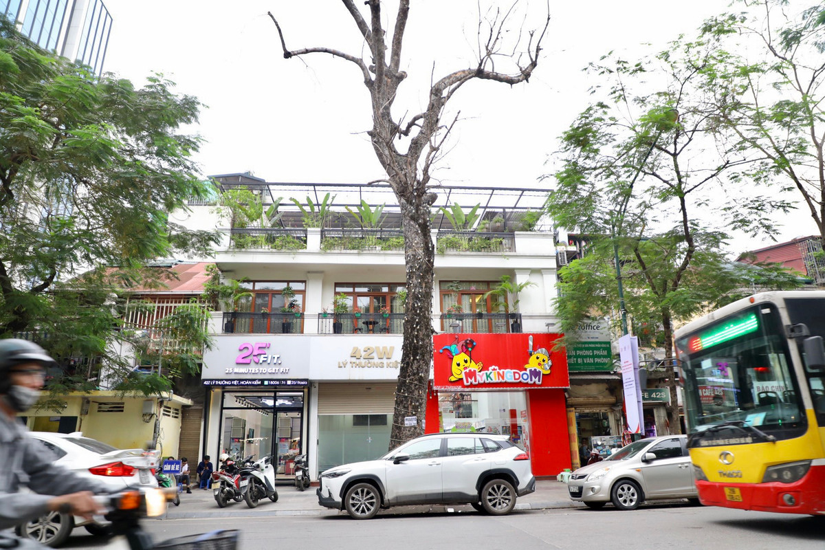 Tại số 42W Lý Thường Kiệt một cây có dấu hiệu chết khô đã lâu nhưng chưa được xử lý. Cây có chiều cao hơn toà nhà 3 tầng đối diện.
