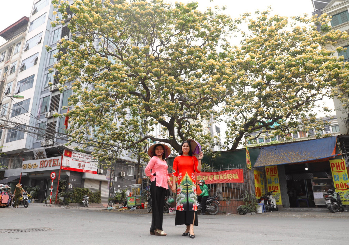 Cô Nguyễn Thị Việt Hà (ở Trung Hoà, Cầu Giấy) cho biết: "Hoa bún mang màu sắc rất đặc trưng, khi bung nở hoa đẹp mê lòng người. Hội bạn tôi ai cũng yêu hoa nên khi hoa bún nở rộ, chúng tôi cùng nhau tới đây ngắm hoa và chụp ảnh kỉ niệm".