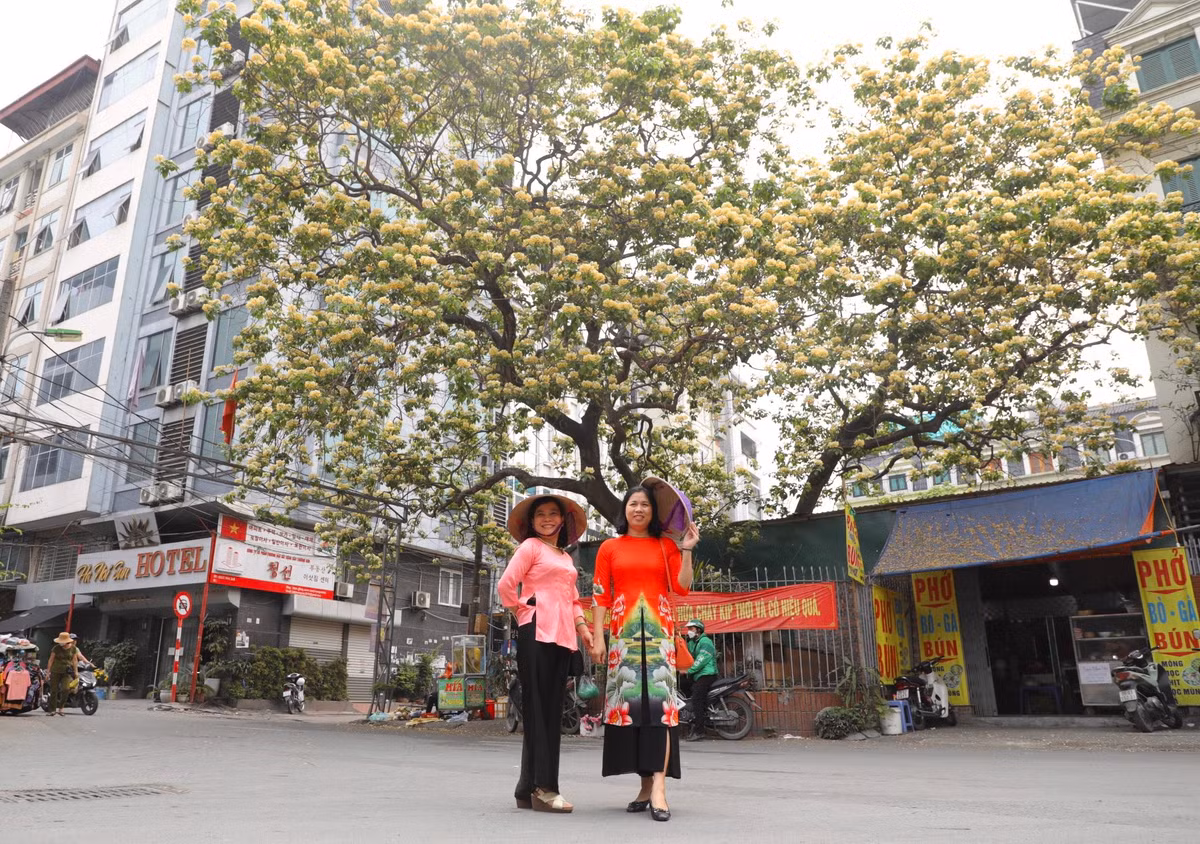 Cô Nguyễn Thị Việt Hà (ở Trung Hoà, Cầu Giấy) cho biết: "Hoa bún mang màu sắc rất đặc trưng, khi bung nở hoa đẹp mê lòng người. Hội bạn tôi ai cũng yêu hoa nên khi hoa bún nở rộ, chúng tôi cùng nhau tới đây ngắm hoa và chụp ảnh kỉ niệm".