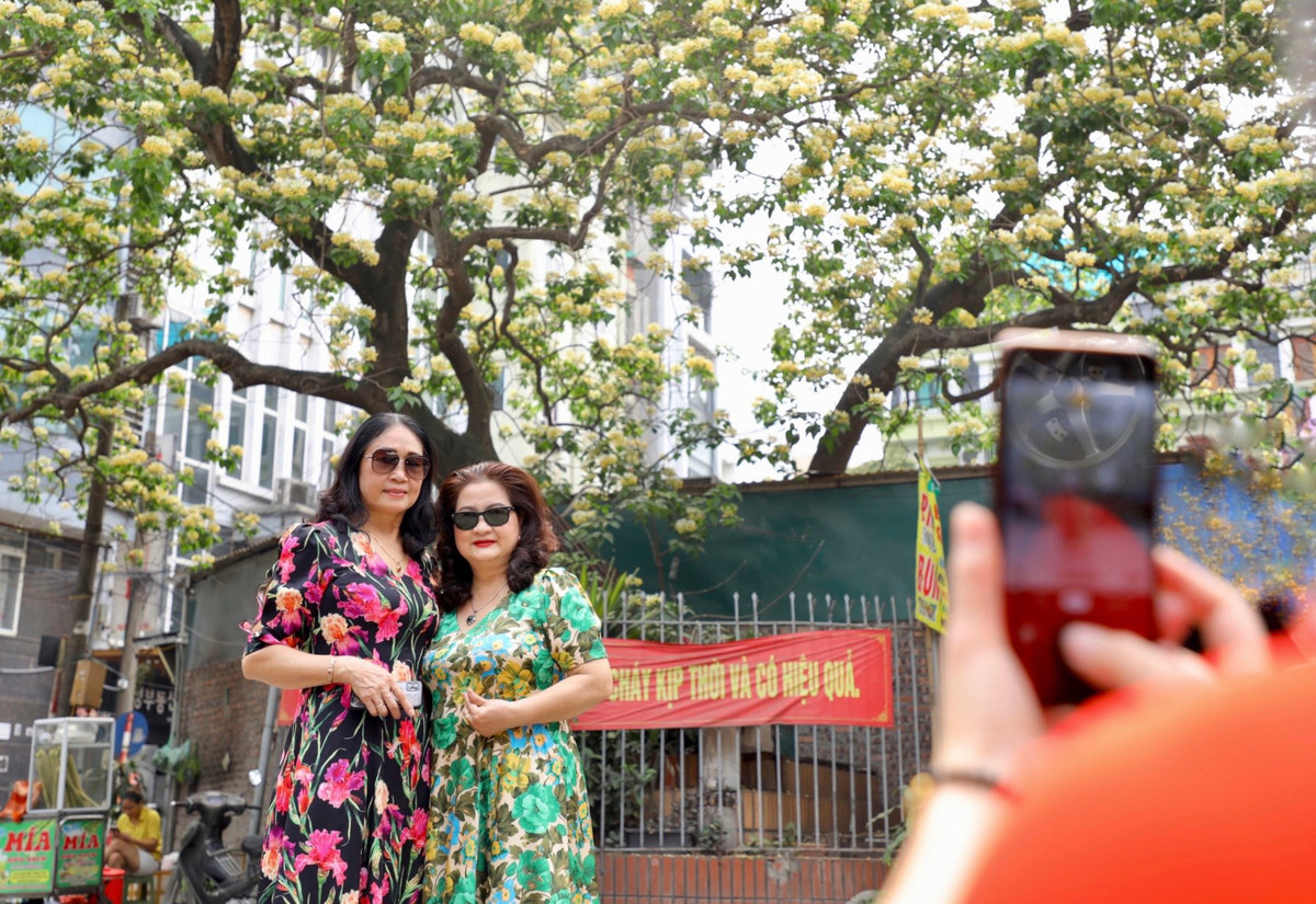 Vào những ngày này, vẻ đẹp hiếm hoi của hoa bún đã thu hút nhiều du khách tới chiêm ngưỡng, chụp ảnh.