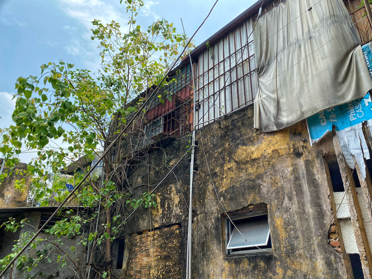 Đặc biệt, trên những bức tường mục nát cây dại đã bám rễ sinh trưởng, phát triển tốt. 