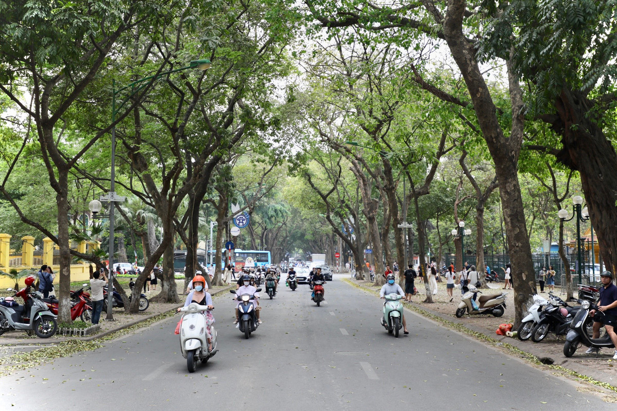 Những ngày gần đây, phố Phan Đình Phùng (Ba Đình, Hà Nội) lại thu hút đông đảo người dân, du khách ghé thăm và chụp ảnh với những chiếc lá vàng rụng phủ kín lối.