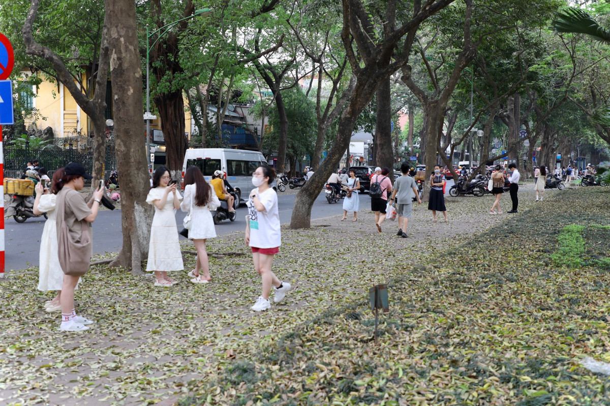 Đường Phan Đình Phùng được mệnh danh là “con đường lãng mạn nhất Hà Nội”. Điểm nhấn đặc biệt là hai hàng cây rợp bóng, tạo thành mái vòm bao phủ khắp con đường.