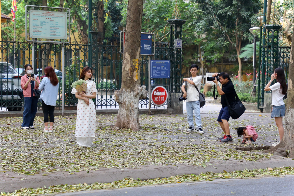Các bạn trẻ nô nức check-in trên “con đường lãng mạn nhất Hà Nội” vào mùa cây thay lá.