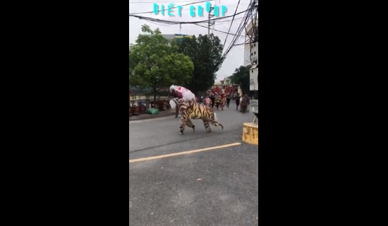 Không riêng gì đoạn clip "chị Hằng hạ phàm", trên MXH cũng xuất hiện đoạn clip múa lân Tết Trung thu với cách tạo hình những con vật khác lạ trên đường phố.