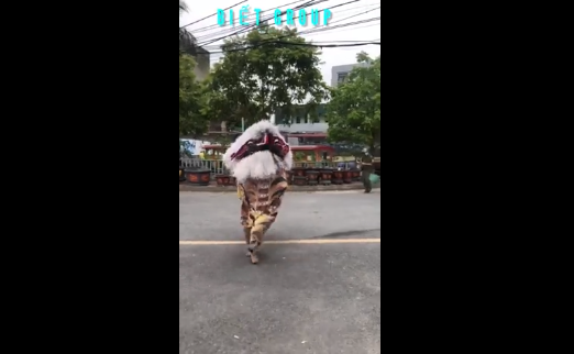 Cư dân mạng đua nhau bình luận, cho rằng đây là "kỳ lân đột biến", "yêu quái xổng chuồng", "con gì xấu lạ"...