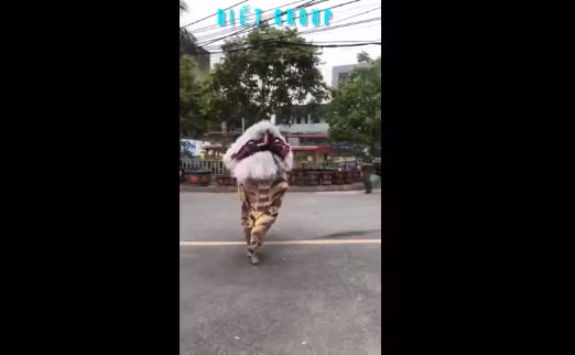 Cư dân mạng đua nhau bình luận, cho rằng đây là "kỳ lân đột biến", "yêu quái xổng chuồng", "con gì xấu lạ"...