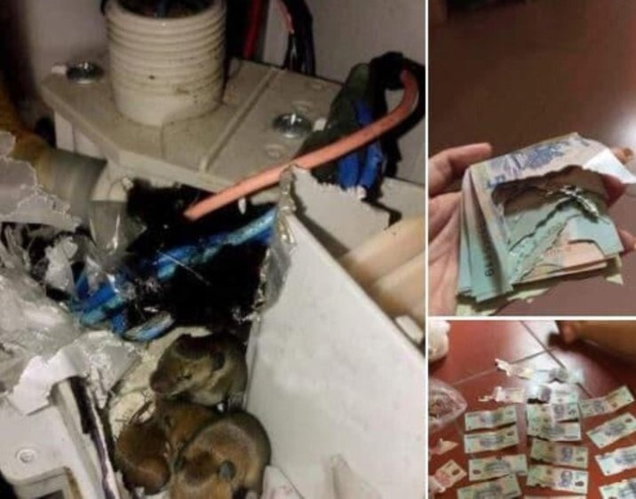 Mới đây câu chuyện "dở khóc dở cười" của ông chồng giấu tiền quỹ đen khiến người đọc không biết nên khóc hay cười.