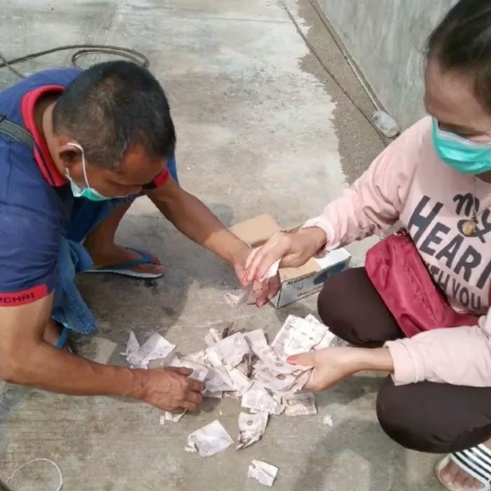 Sau đó anh quyết định lôi quỹ đen ra để sử dụng thì "sốc nặng" khi thấy các tờ tiền đều bị rách nát, không còn nguyên vẹn. Thì ra lũ chuột đã chui vào mui xe ôtô và găm nhấm số tiền trên.