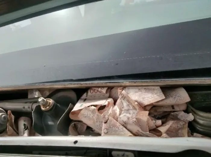 Trong khi các anh chồng cùng chung số phận vật vã tìm chỗ giấu quỹ đen bày tỏ sự đồng cảm thì số khác lại chê trách biện pháp lỗi thời của người chồng này.