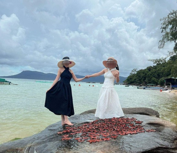 Những hình ảnh nhóm du khách xếp dàn sao biển lên đá để tạo dáng chụp ảnh ở Phú Quốc khiến cư dân mạng phẫn nộ. Thậm chí họ còn cầm sao biển trên tay thoải mái chụp ảnh dưới nắng bất chấp có thể gây nguy hiểm đến loài vật này.