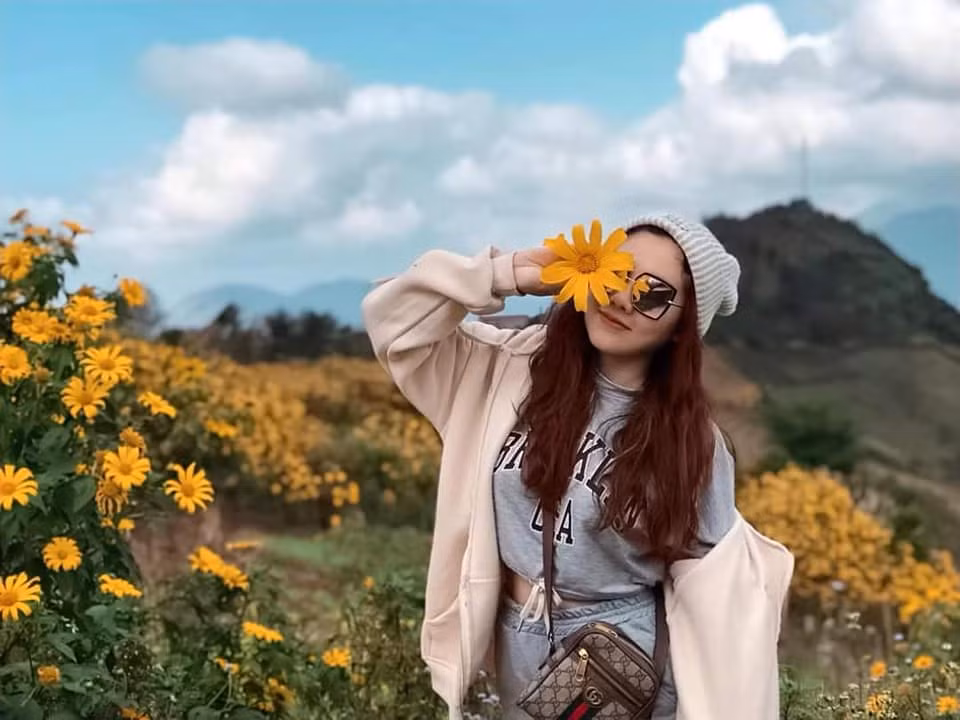 Vào cuối tháng 11 hằng năm, vùng đất Lai Châu “chính thức” chìm đắm trong sắc vàng của loài hoa ấy. Ảnh: Trần Huỳnh Lai Châu