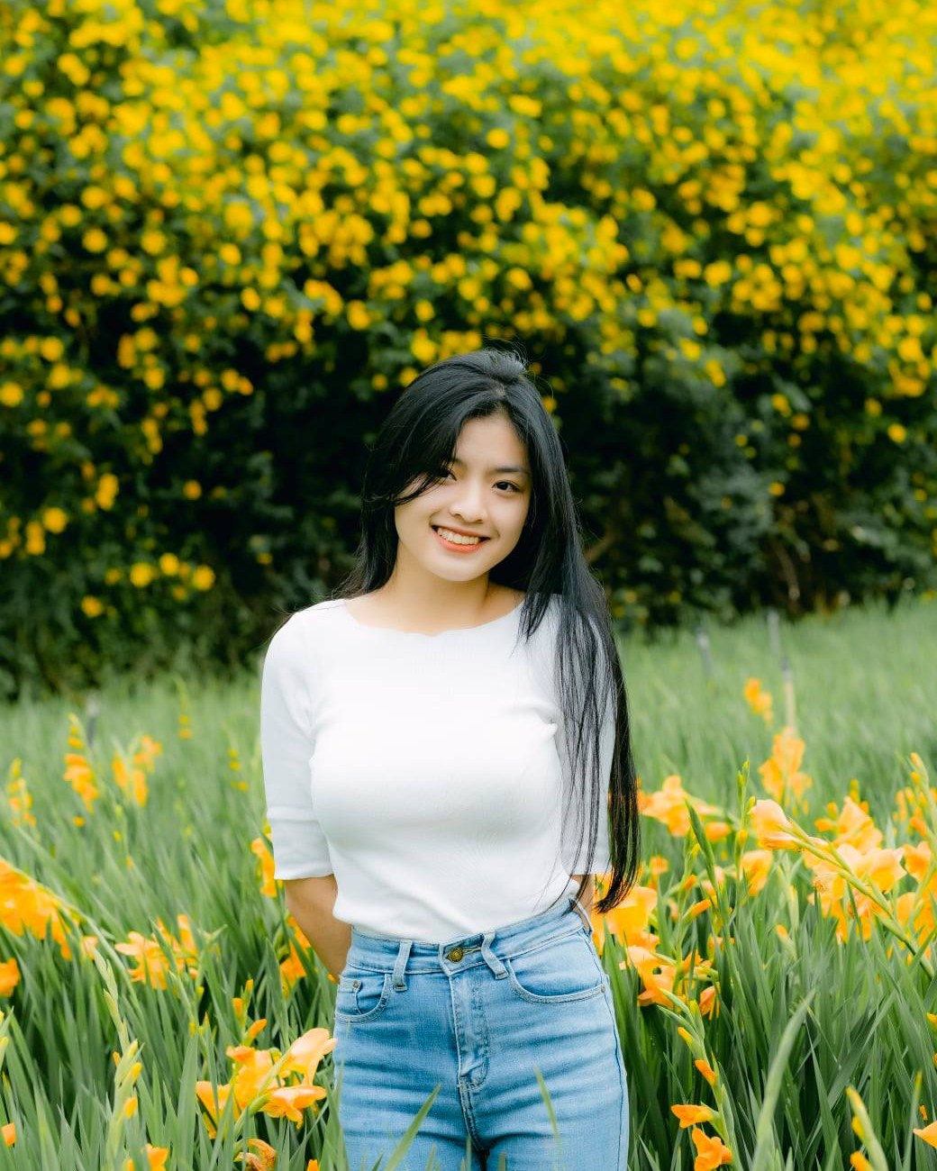 Nếu du khách muốn tìm những điểm hoa dã quỳ mọc dày hơn để chụp bạn có thể đến trường Đại học Đà Lạt, men theo đường vào Chủng viện Minh Hòa và đoạn đường Phạm Hồng Thái (bên cạnh nhà ga Đà Lạt). Ảnh: Trần Hữu Cường