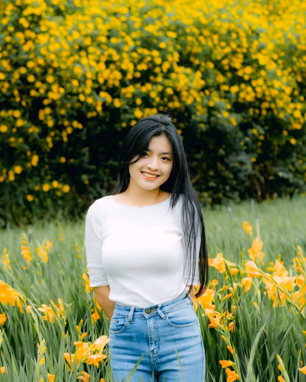 Nếu du khách muốn tìm những điểm hoa dã quỳ mọc dày hơn để chụp bạn có thể đến trường Đại học Đà Lạt, men theo đường vào Chủng viện Minh Hòa và đoạn đường Phạm Hồng Thái (bên cạnh nhà ga Đà Lạt). Ảnh: Trần Hữu Cường