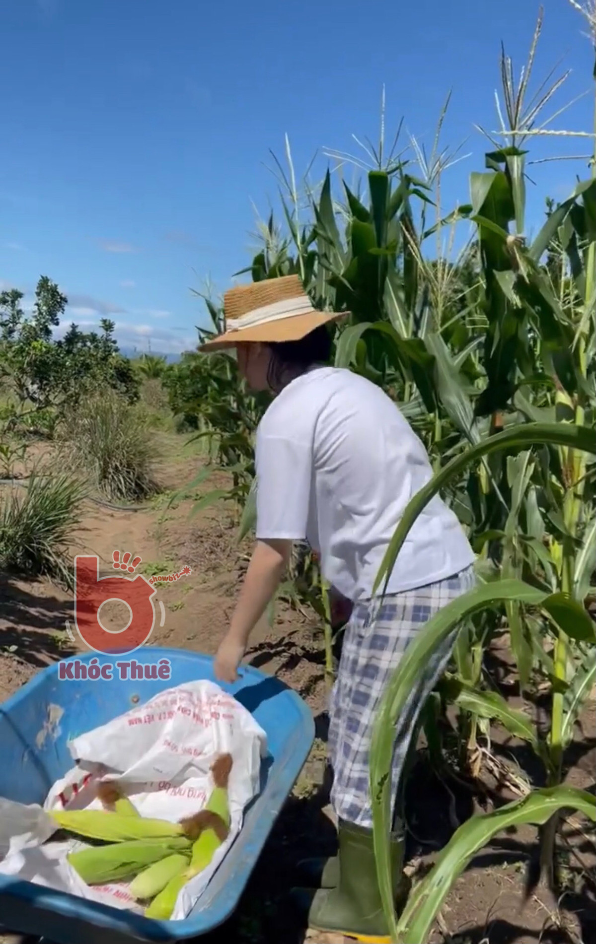 Ngoài ra Tina Duong còn chia sẻ về dự định của bản thân trong thời gian này là viết 1 cuốn sách phỏng theo cuộc đời cô, cuốn sách có tên "trái tim tuyết của kẻ lừa đảo tên Joyce", nếu được xuất bản mong mọi người mua nó để cô có cơ hội làm lại cuộc đời. Ảnh: Khóc thuê