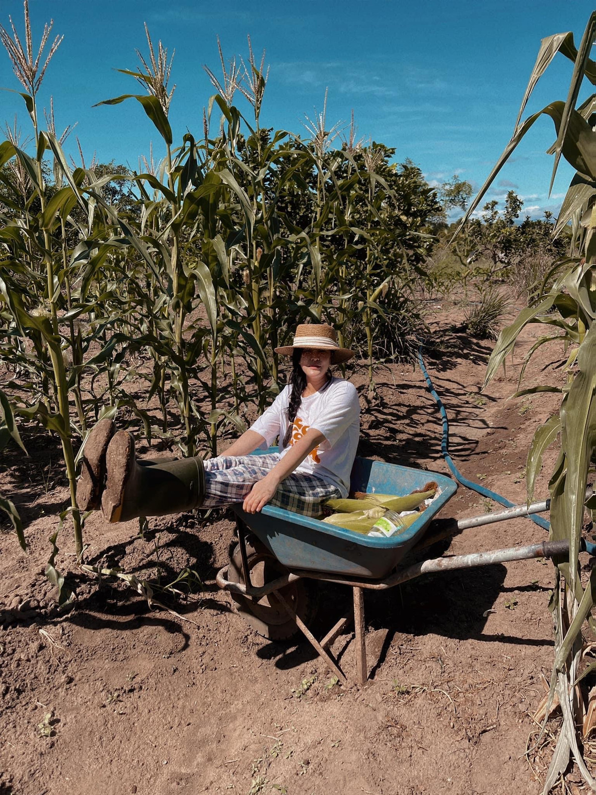 "21 ngày thao túng vùng đất mới thì có", "21 ngày tìm lại chính mình rồi lại biến hình", "vì cô ấy lừa người khác quá nhiều nên giờ chẳng ai còn tin nữa rồi" ...là những bình luận của cư dân mạng. Ảnh: Facebook