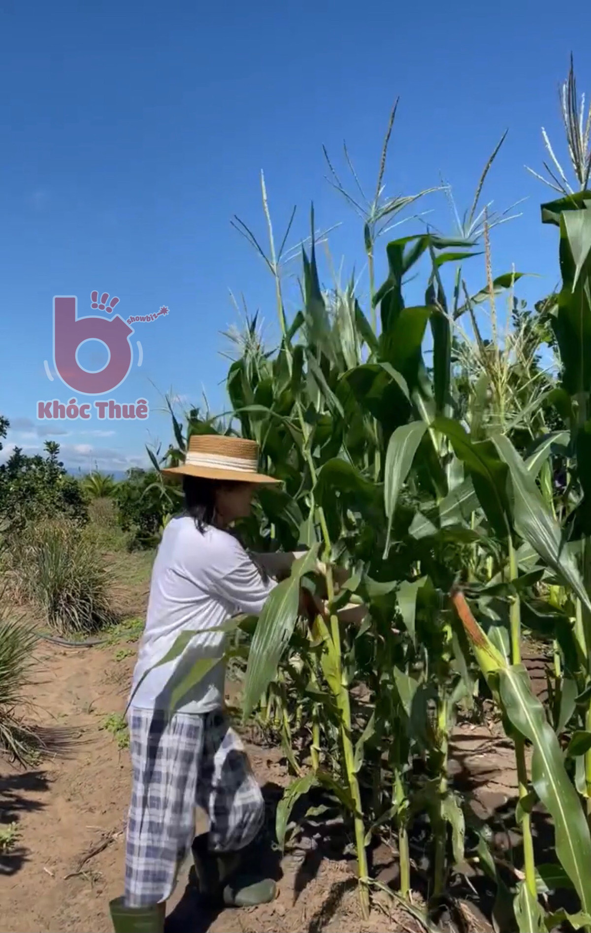 Những chia sẻ mới của Tina Duong khiến không ít người ngỡ ngàng bởi nó hoàn toàn trái ngược với hình ảnh một hot girl sang chảnh, dùng toàn hàng hiệu đắt tiền trước đó. Ảnh: Khóc thuê