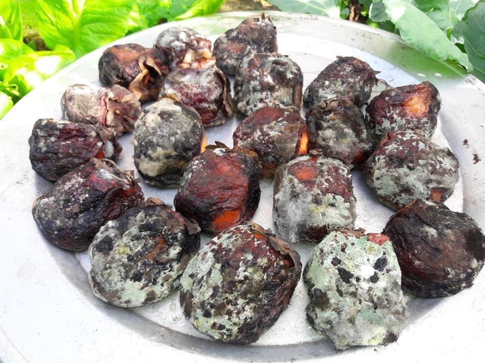 Sau khi chia sẻ cách làm hồng treo gió lên MXH, cô gái đã làm netizen được phen ôm bụng cười.